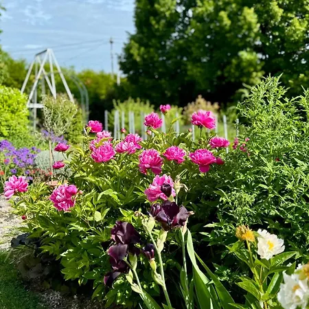 La Ferme Du Croit - Proche Lacs & Observatoires Casa vacanze